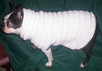 Creme Hand Crocheted Bath  Dog Sweater