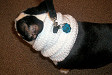 Creme Crocheted Dog Neck Warmer