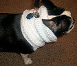 Creme Crocheted Yorkie/Chihuahua Neck Warmer