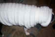 Soft Dark Red Yorkie /Chihuahua Bath Sweater/06